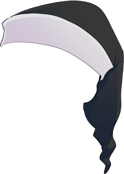Hero’s Crest Cap